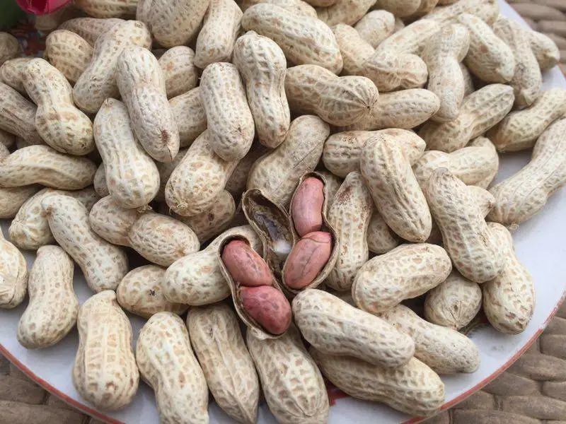 潮享玩昆明,昆明潮玩集合