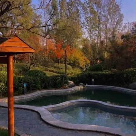 【双语听读】HowtolivethroughthelongwinterinZhengzhou在郑州度过漫漫冬日