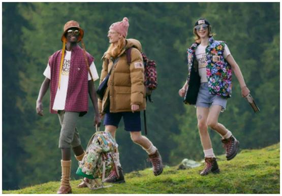 怎么花最少的钱买真大鹅,怎样才能买到真正的正宗的大鹅