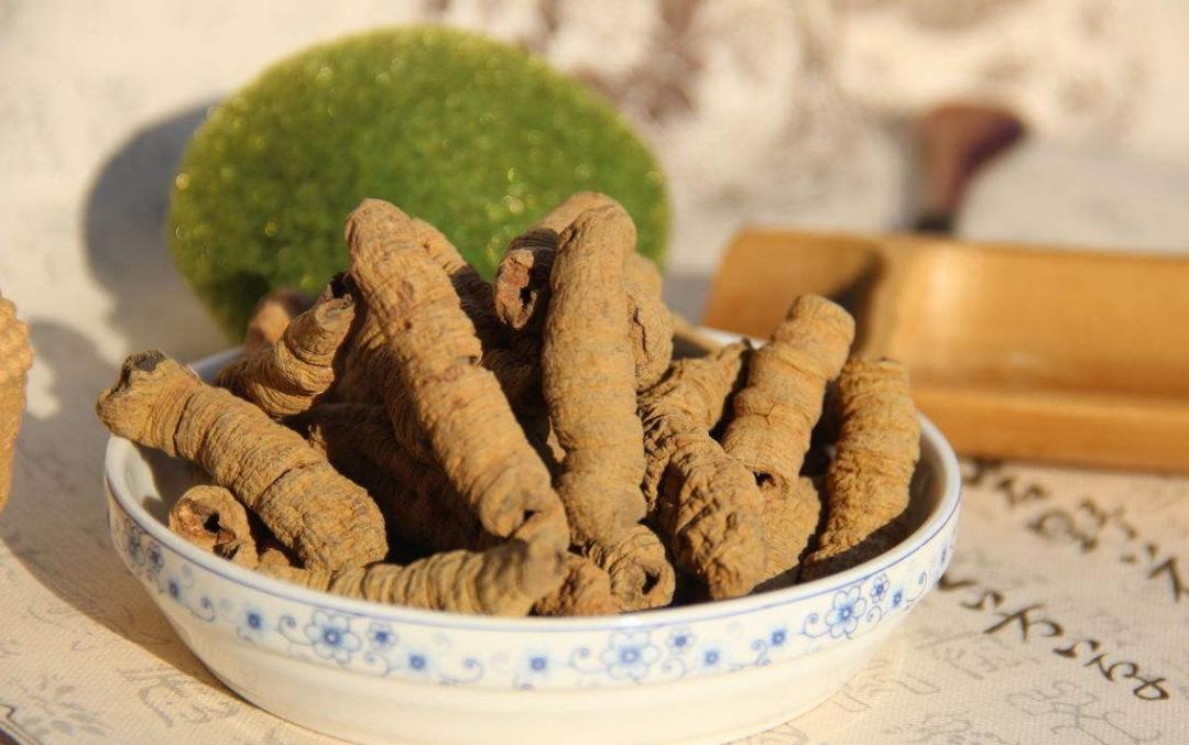 肇庆的特色农产品有哪些,肇庆的农产品有哪些