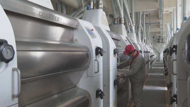 菏泽市成武县：点燃“稳岗就业”一把火力兜民生“保障线”