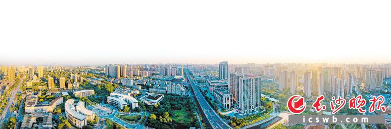 领跑之路|晚报特稿