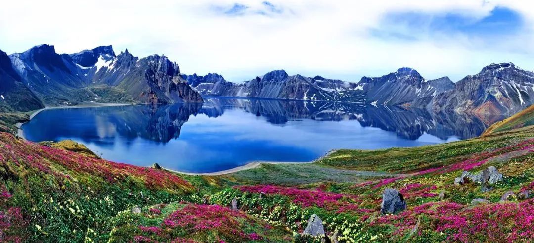 长白山椴树雪蜜礼盒,长白山椴树蜂蜜雪蜜500g