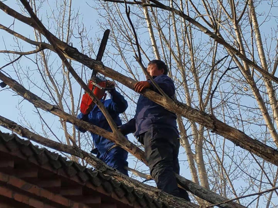 魅力北庄大块镇村庄风采展示,魅力陈堡大块镇村庄风采展示