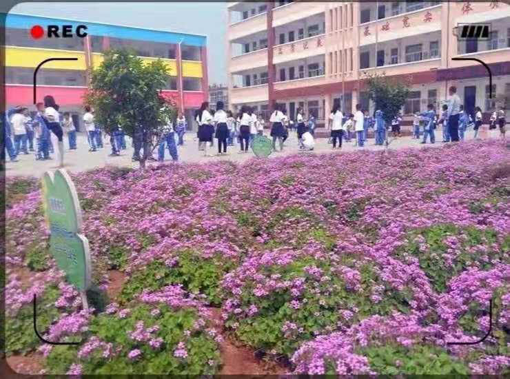 魅力北庄大块镇村庄风采展示,魅力陈堡大块镇村庄风采展示