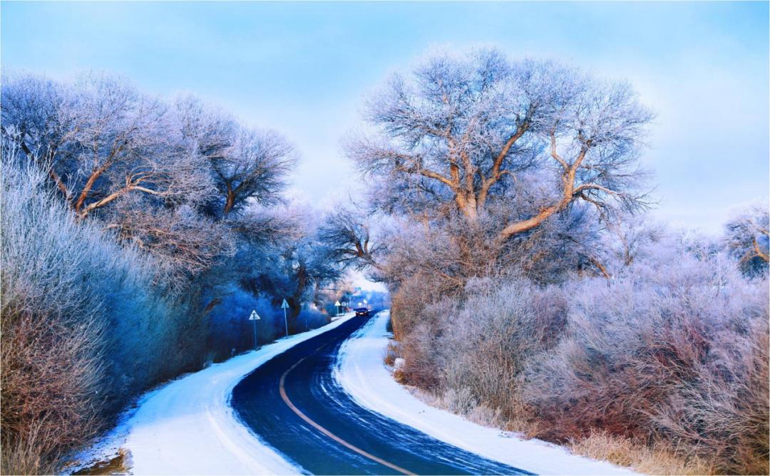 春节不打烊随心玩,内蒙古就地过年