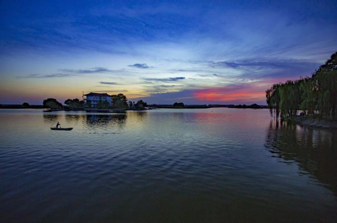 带你看盐城风景,牛年看牛展2021新春展等你来打卡