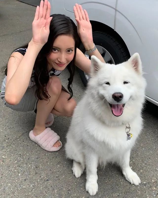 日本恶女电影解说,日本第一黑帮之女