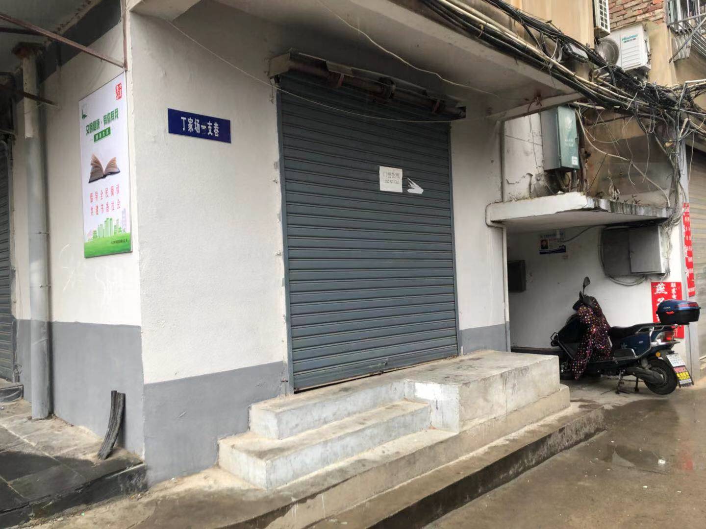 老鼠频现！浔阳区丁家场一支巷居民心慌慌