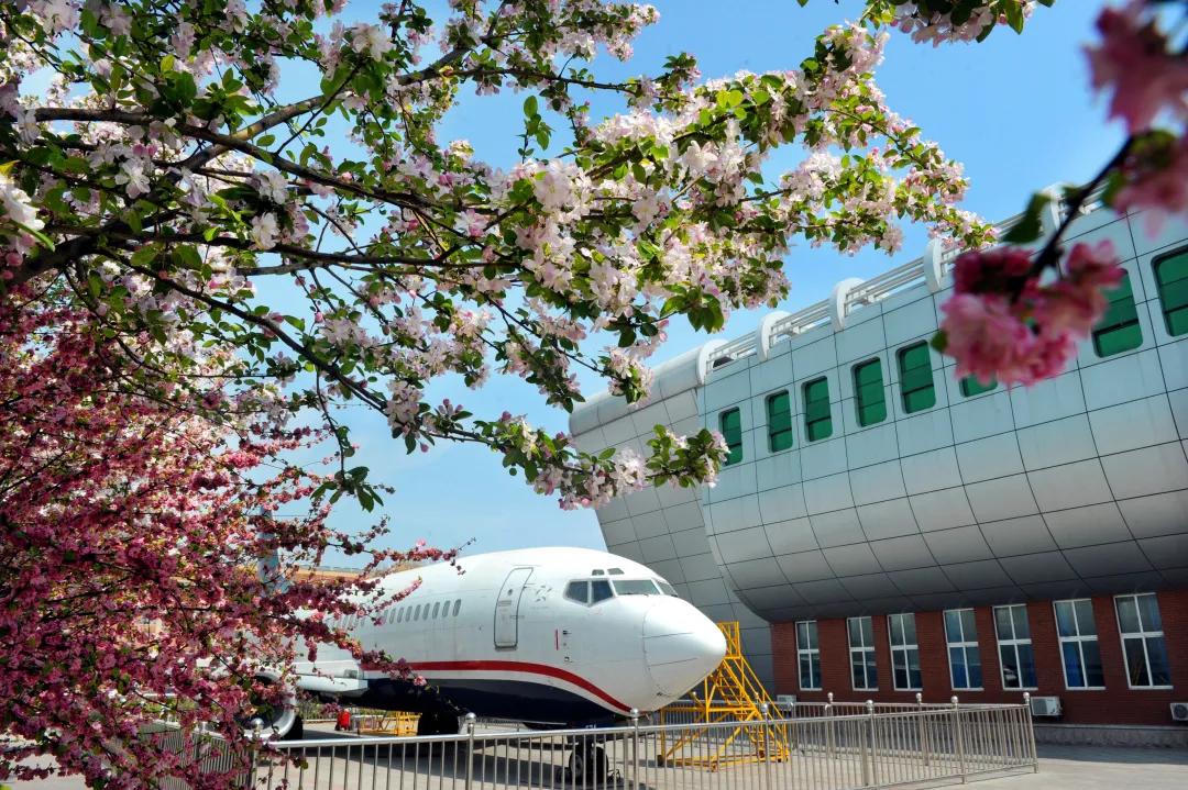 滨州学院新建项目,滨州学院今年扩招专科专业