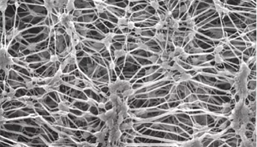 「深度」让不同品牌贴上同一个商标,这款面料成了户外用品热卖的真正赢家