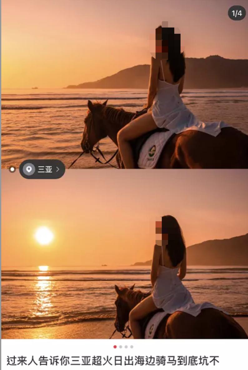 一马难求！网红在逃公主风把马都拍涨价了