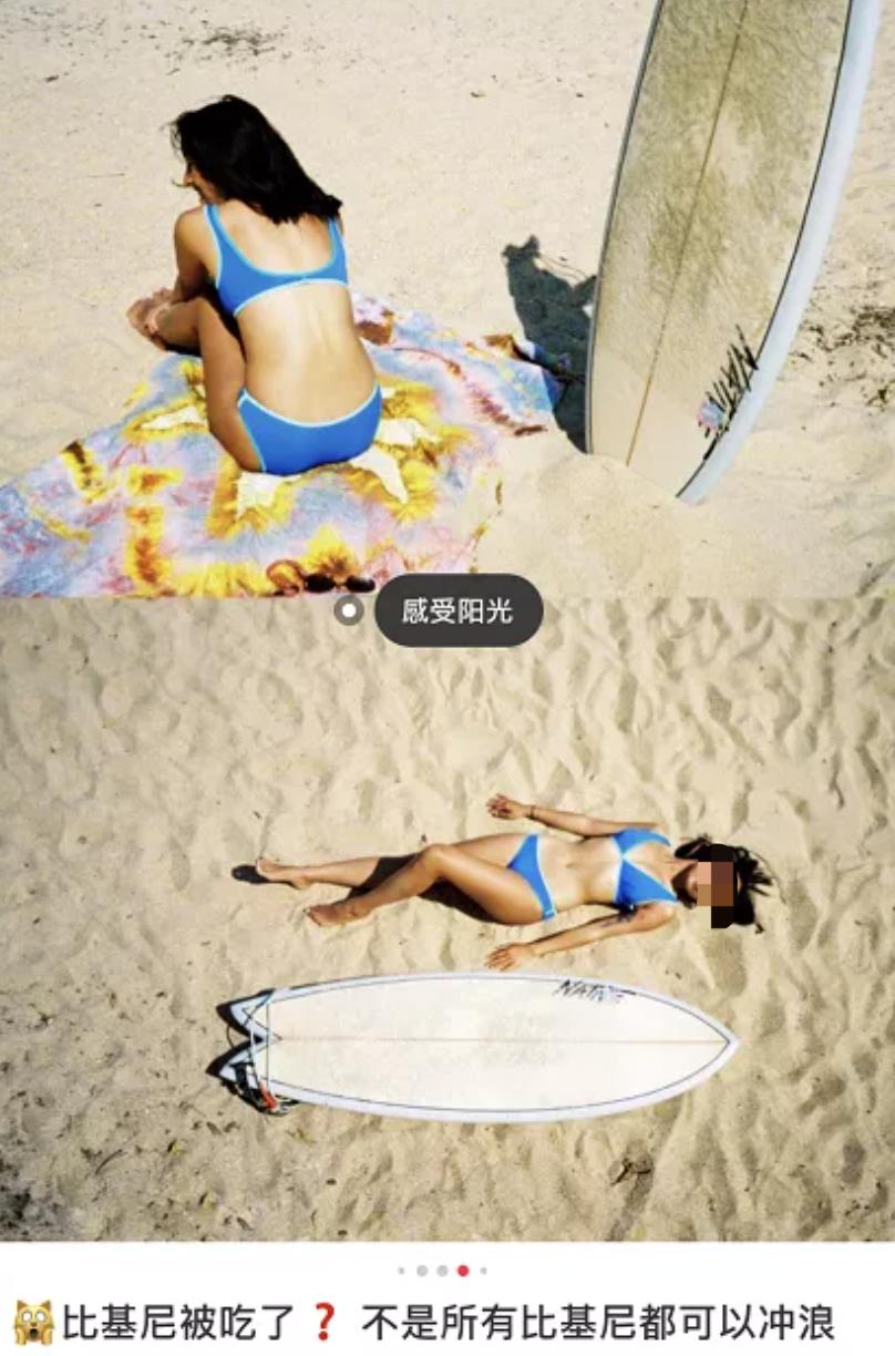 一马难求！网红在逃公主风把马都拍涨价了