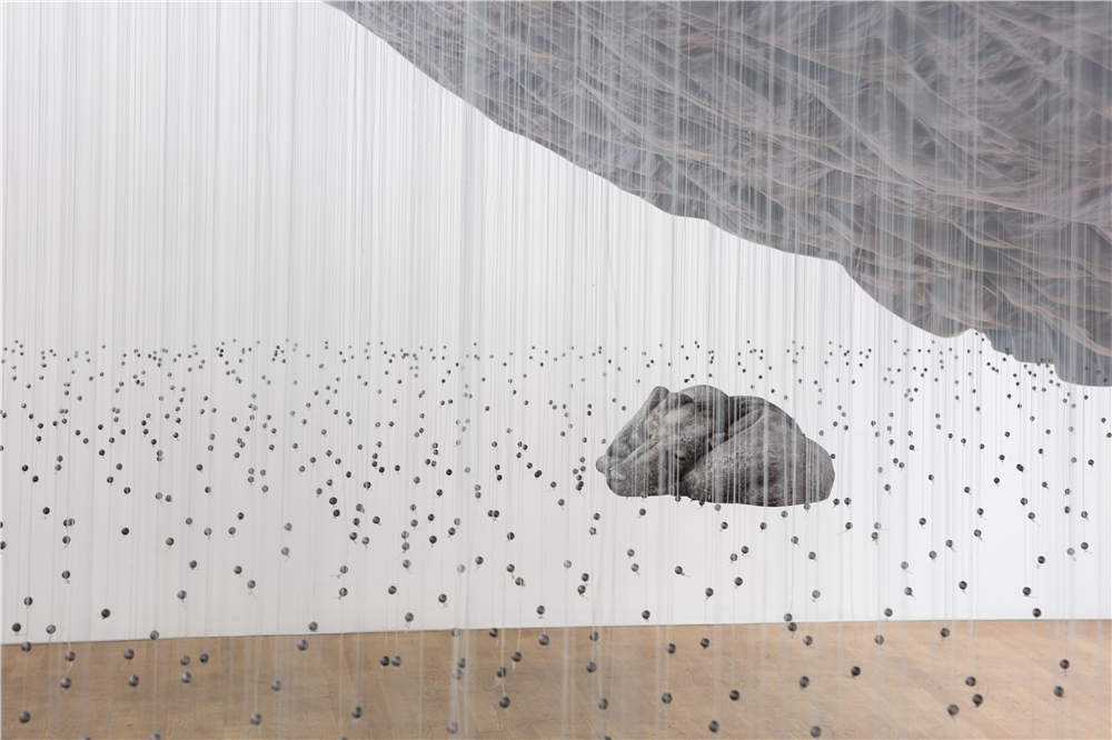 wavelength沉浸式艺展,wavelength艺术展买票