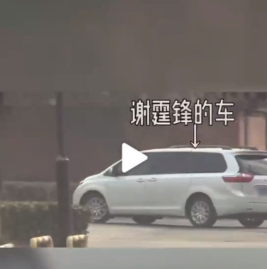 谢霆锋不再谈锋菲,谢霆锋谈锋菲恋情