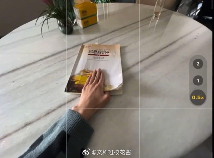 汪苏泷的脸摔肿了,汪苏泷脸肿成蜜蜂小狗