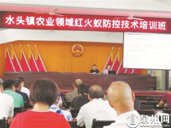 红火蚁已入侵12省份分别是,怎样解决红火蚁入侵我国