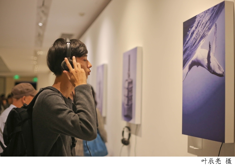 虚拟人带热“情感经济”，不少年轻人购买“AI树洞”倒苦水，专家：对社交和真实情感的渴望，不能靠花钱“唠嗑”