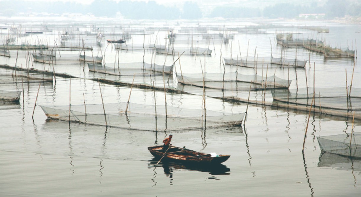 蹲点深一度｜当黄河下游最大湖泊遇上生态保护和高质量发展，东平湖怎么变？