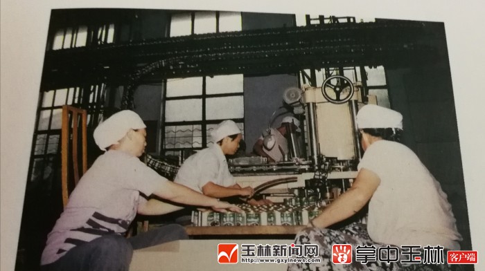 玉林罐头厂老照片,玉林罐头厂