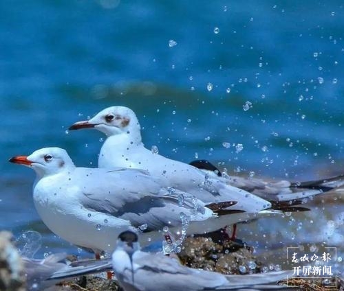 保山旅游攻略一日游景点,保山市旅游攻略一日游景点推荐