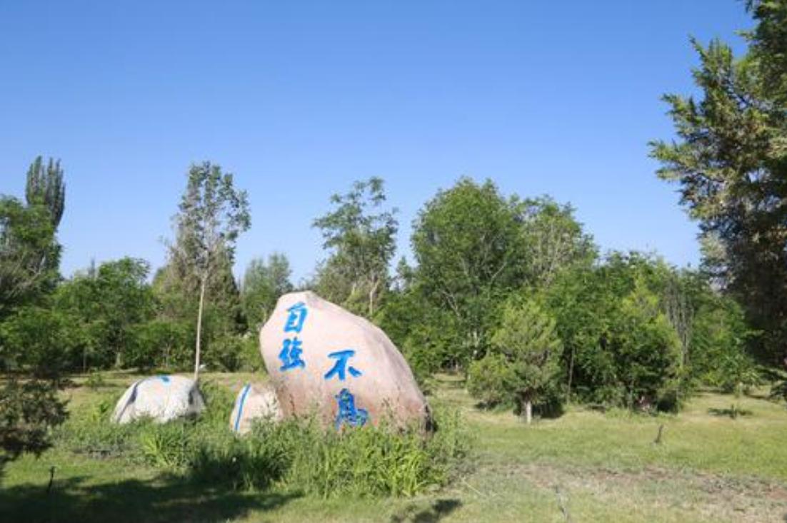 库尔勒第二中学日常,库尔勒市第二中学教学质量