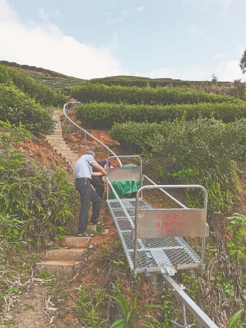 福建：茶园生产，“机”不可失