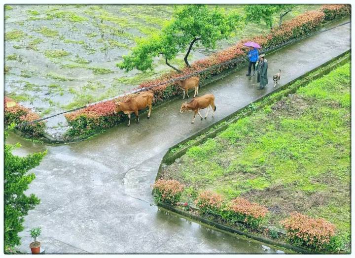专业摄影师驾到,摄影师驾到统统闪开