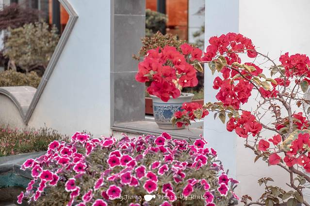 寻味泰州美食绘画,手绘靖江