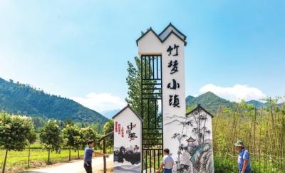 洛阳洛宁县发展,洛南高质量发展新篇章