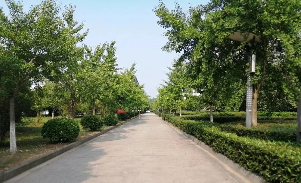 湖北中医药高等专科学校招生简章,湖北中医药高等专科学校2021招生