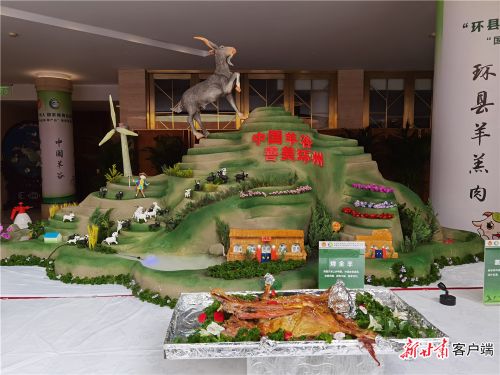 甘肃环县种羊,甘肃庆阳环县羊羔肉