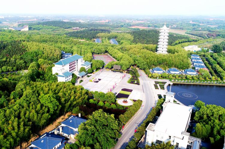 当村民小组长43年,周宝生干得怎么样?