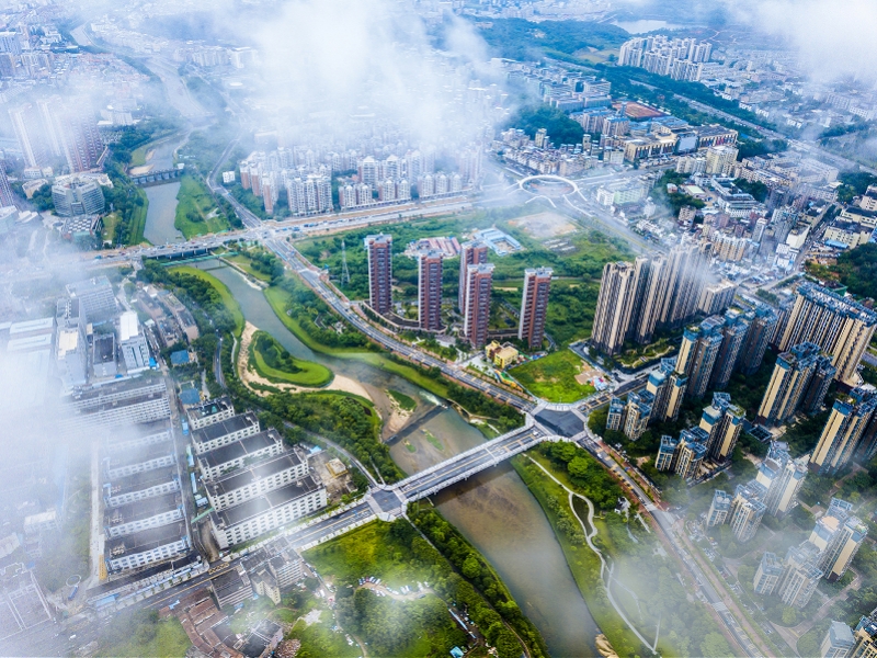 践行我为群众办实事实践活动,践行我为群众办实事主题党日活动