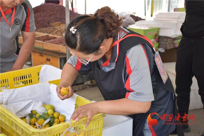 敦煌李广杏带往嘉峪关,敦煌李广杏顺丰快递