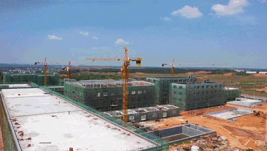 动图运动会,动图赛龙舟