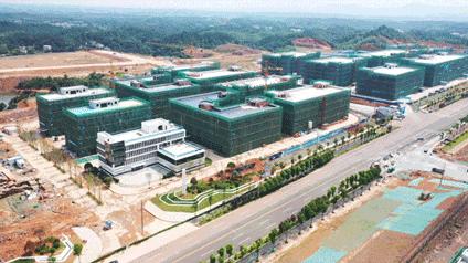 动图运动会,动图赛龙舟