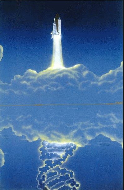 星际航行时代，太空艺术将迎来怎样的美学复兴？