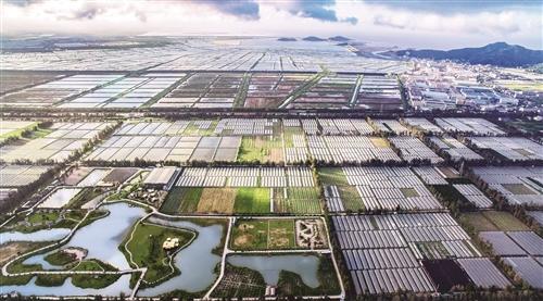 金清镇最新规划图,金清城市建设