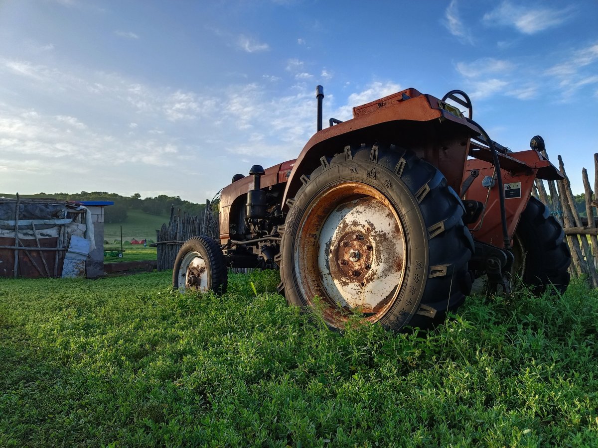 vivoS10Pro智能手机样张图集「23P」「SOOMAL」