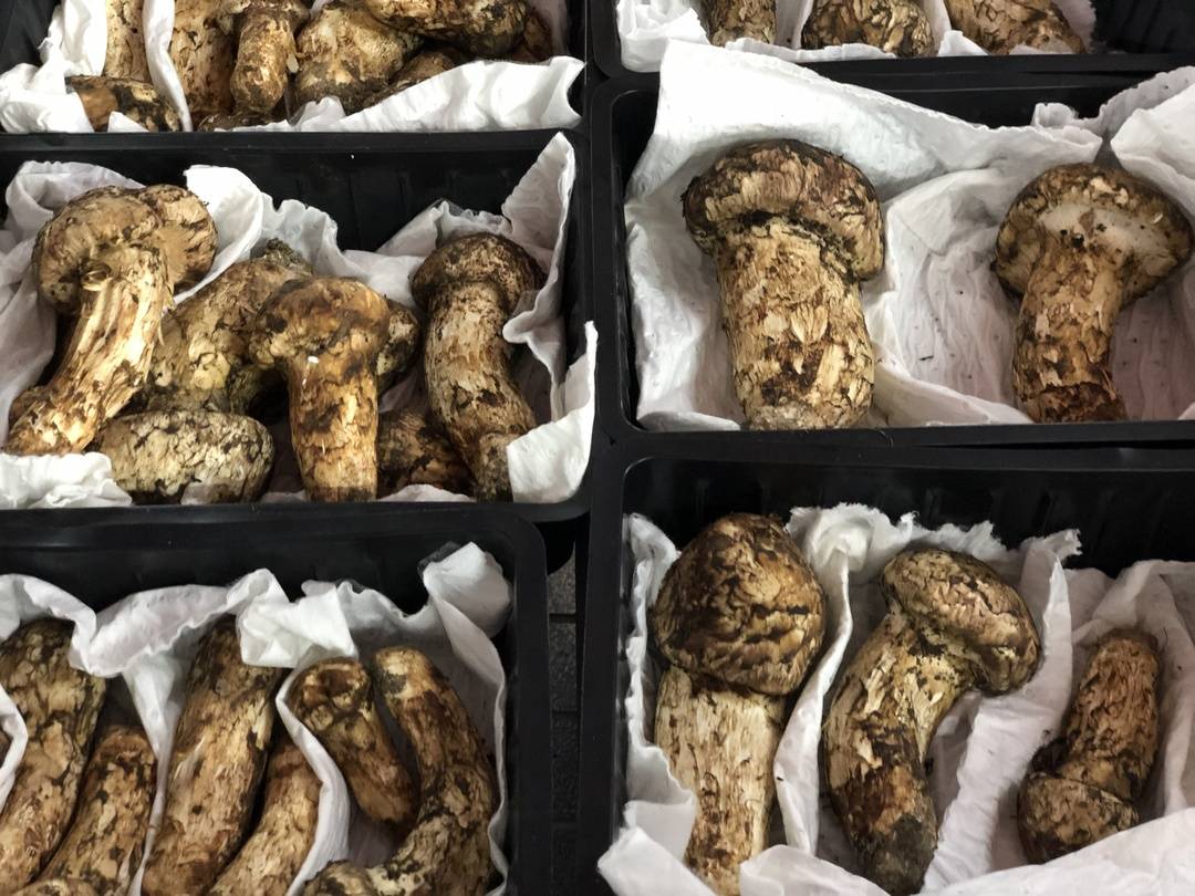 四川土特产平台,四川农产品电商平台