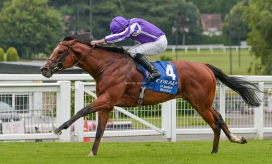 马匹数量世界排名,世界排名前十的名马