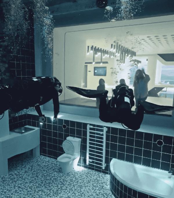 迪拜最深游泳池有鱼吗,世界最深的游泳池怎么去