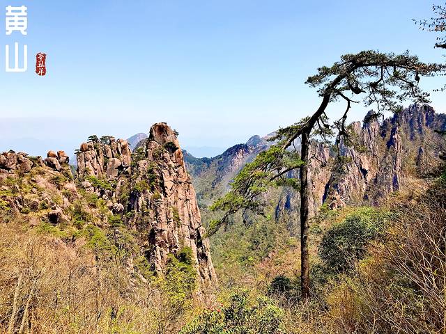 徽州的春天全集,黄山的春天风景