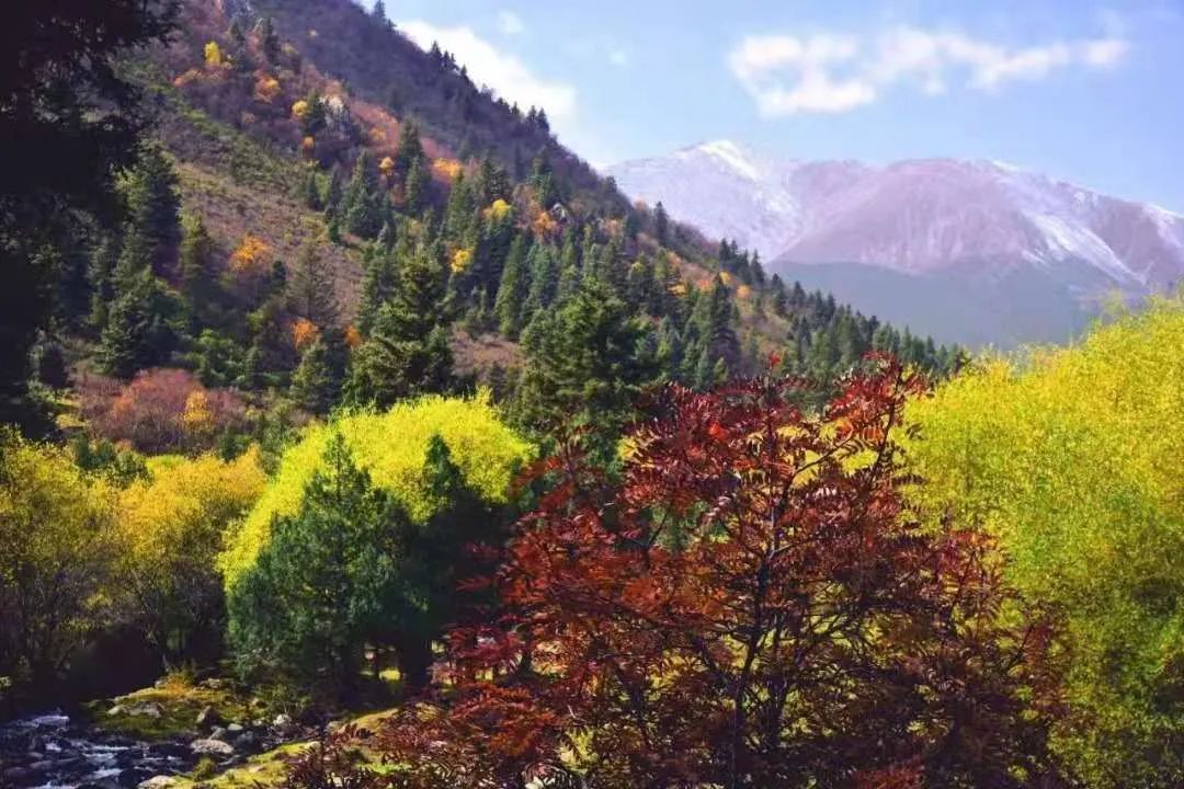 诗词名句赏析凉州诗,凉州古诗词中的诗意