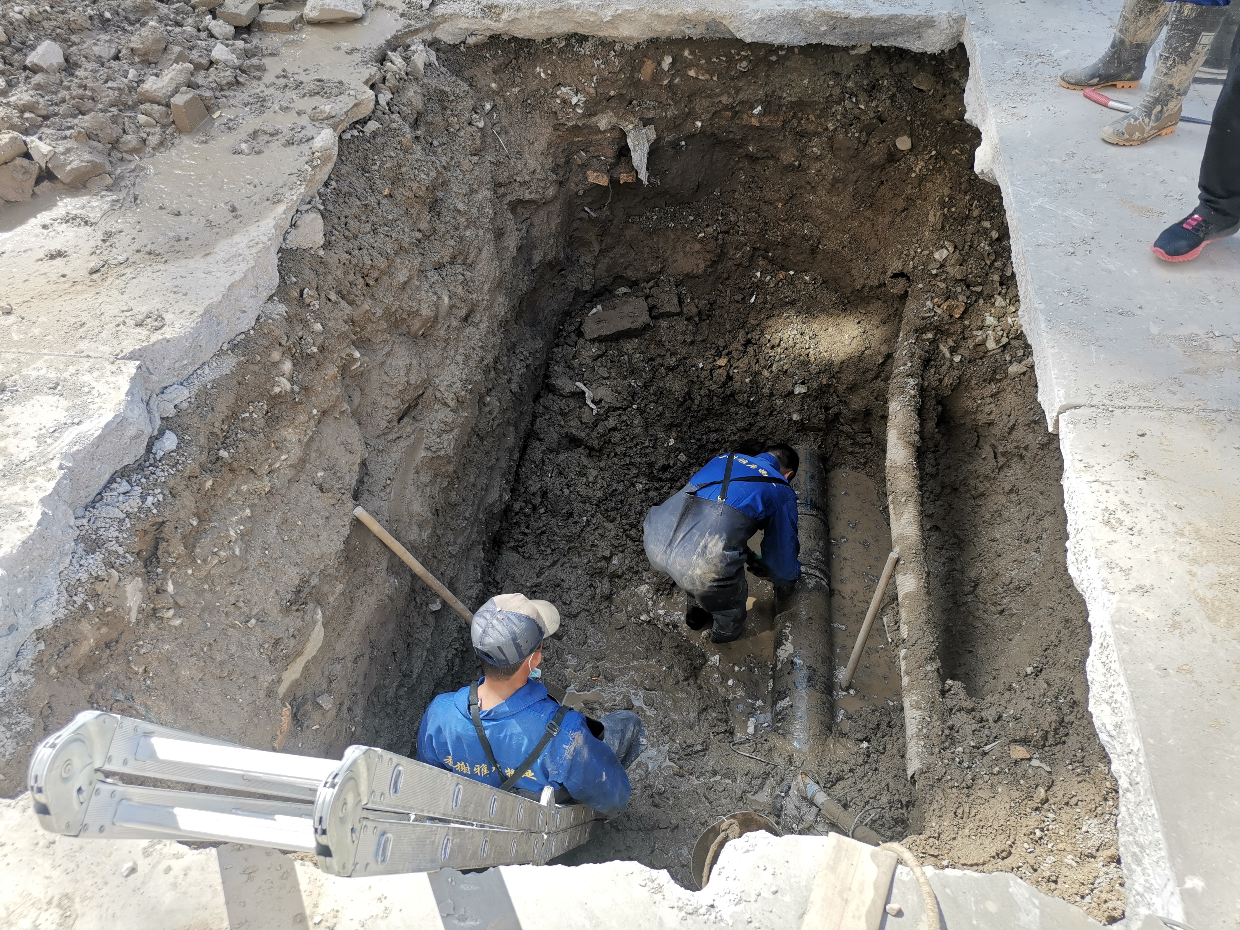 库尔勒物业管理规定,库尔勒物业整治情况