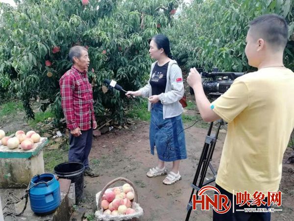 湛北乡南田庄村,襄县湛北乡南田庄村