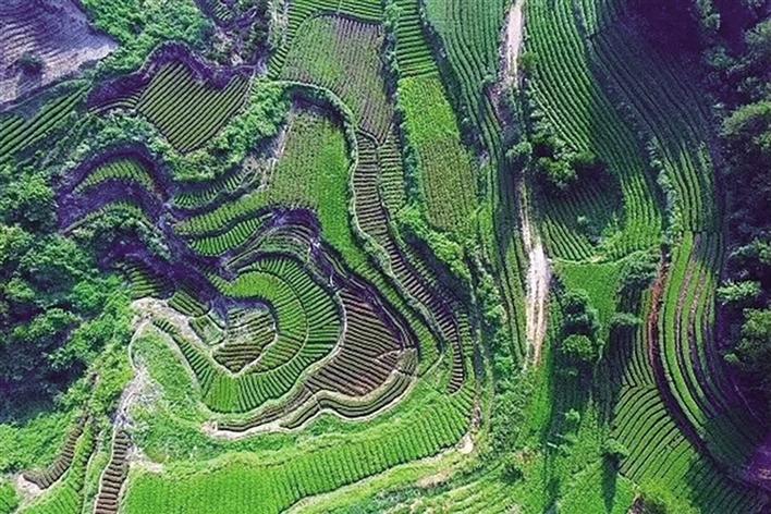 奋力书写“矮寨不矮时代标高”的“吉首答卷”