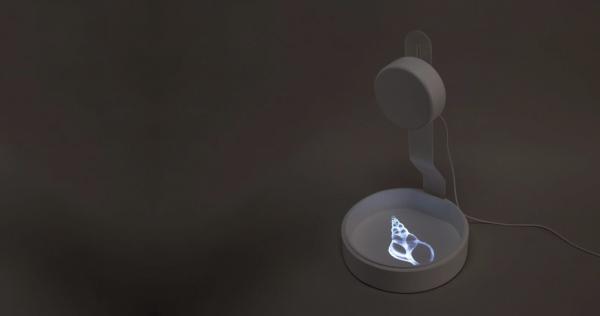 制作植物形状的日历,关于植物做成的日历