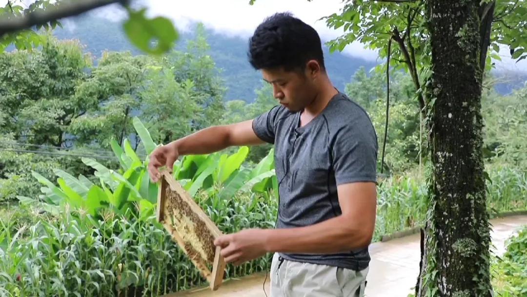 乡村振兴人才超市,鹤峰县乡村振兴示范村
